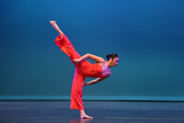 IMG_3648